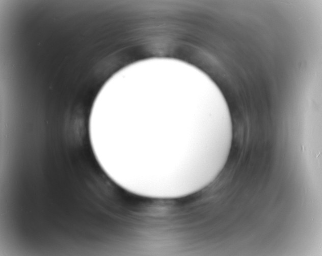 X0000088130128200706041956