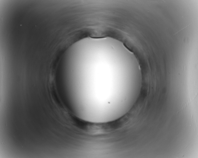 X0000088130129200706041956