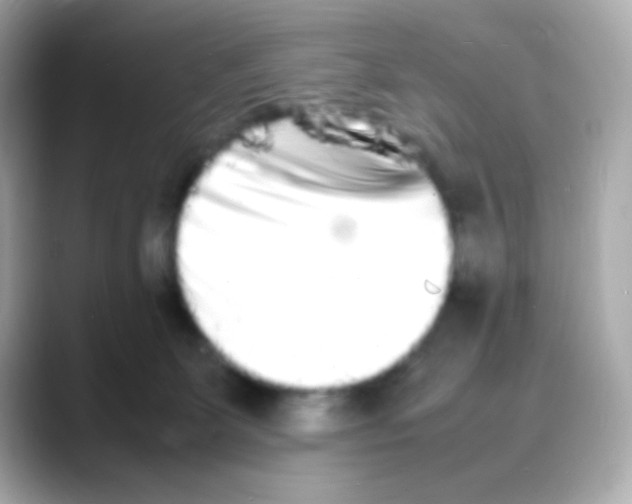 X0000088130131200706041956