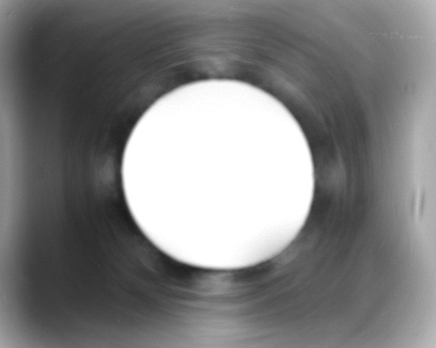 X0000088130132200706041956