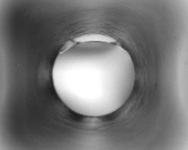 X0000088130133200706041956