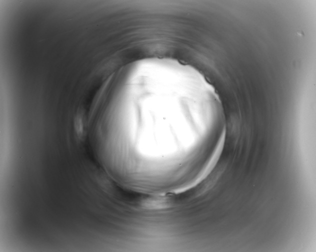 X0000088130138200706041956