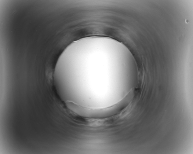 X0000088130141200706041956