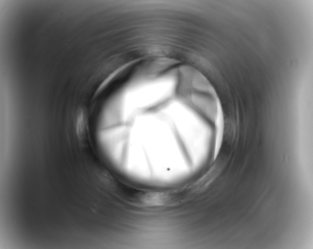 X0000088130142200706041956