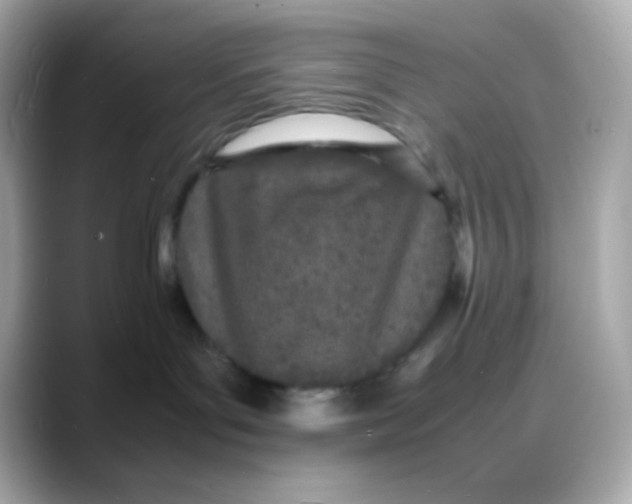 X0000088130143200706041956