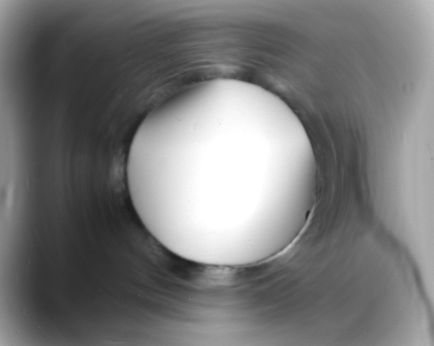 X0000088130144200706041956