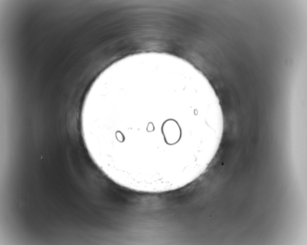 X0000088130146200706041955