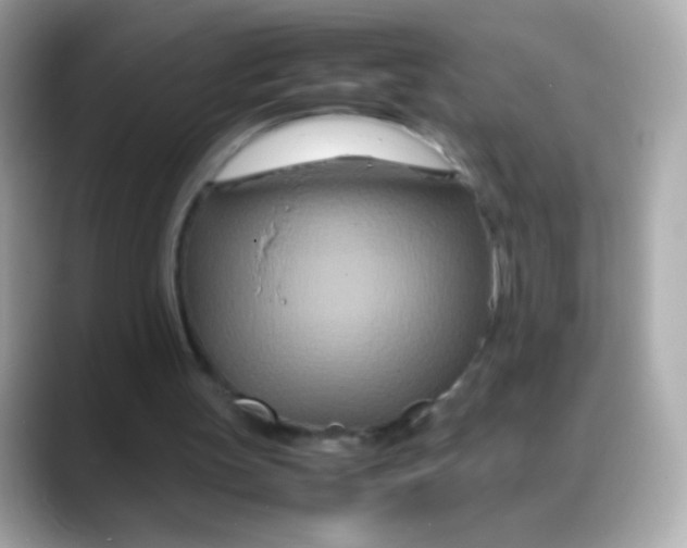 X0000088130147200706041955