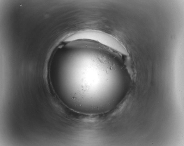 X0000088130148200706041955