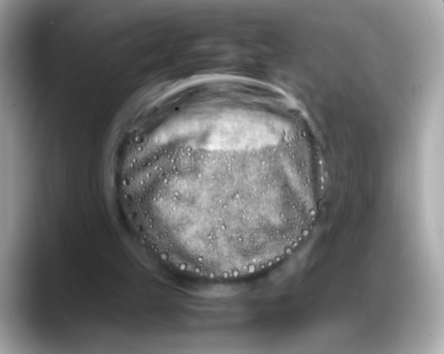 X0000088130149200706041955