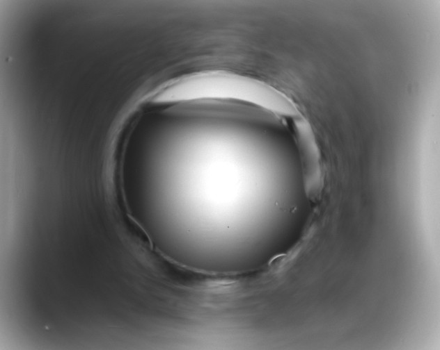 X0000088130150200706041955