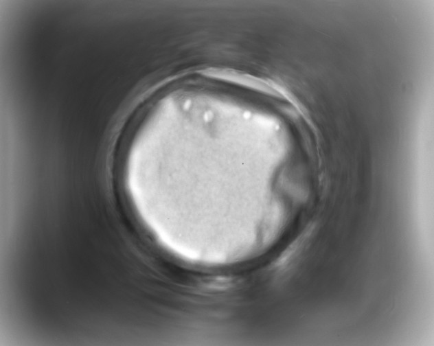 X0000088130151200706041955