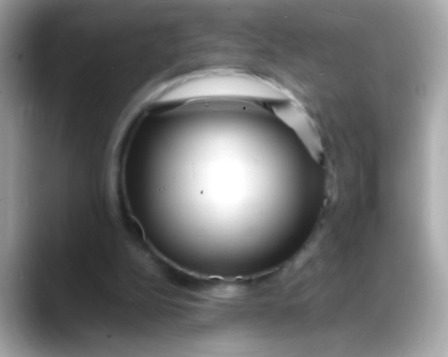 X0000088130152200706041955