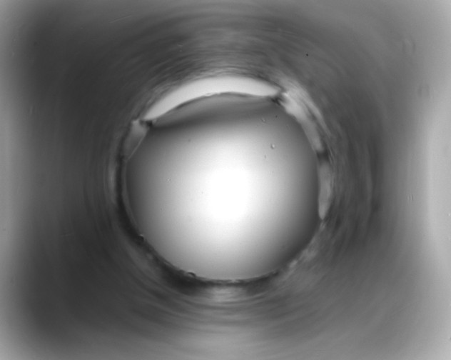 X0000088130154200706041955