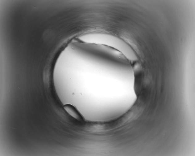 X0000088130156200706041956