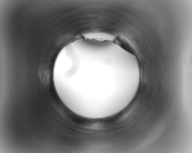 X0000088130157200706041956