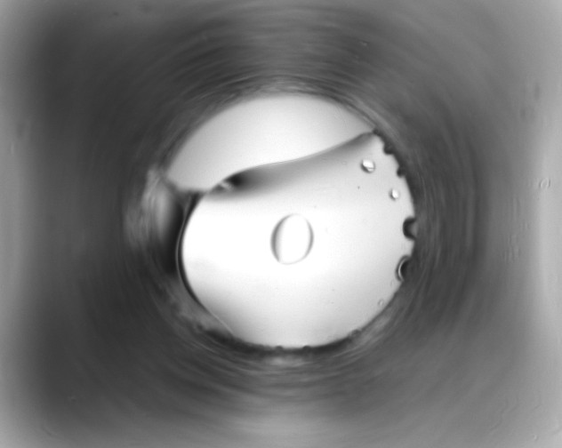 X0000088130158200706041956