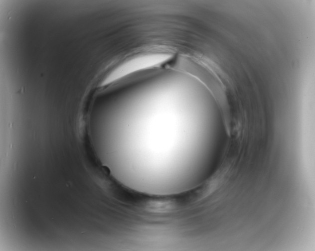 X0000088130160200706041956