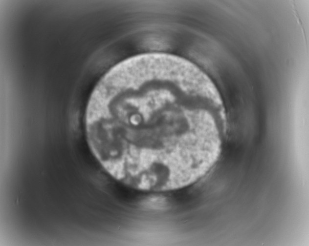 X0000088130162200706041956