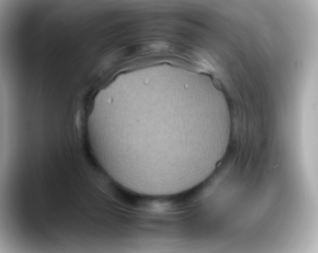 X0000088130165200706041956