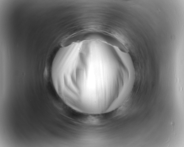 X0000088130166200706041956