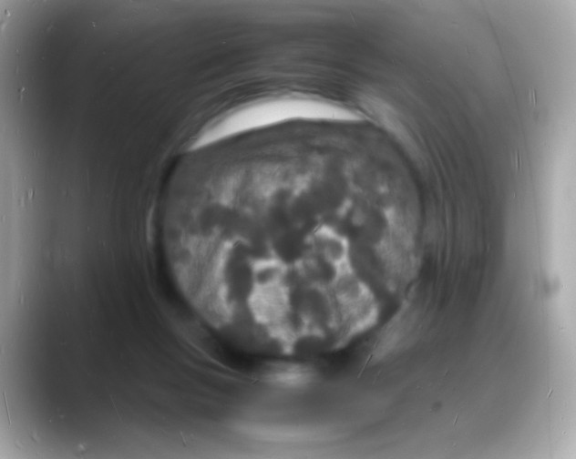 X0000088130167200706041956