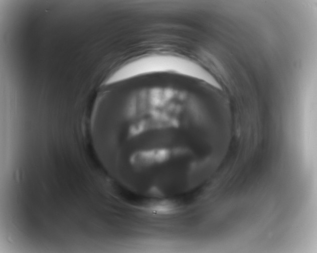 X0000088130169200706041956