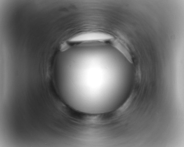 X0000088130170200706041956