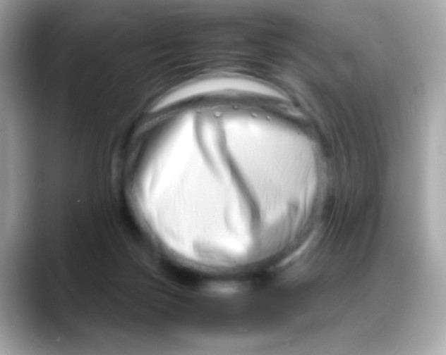 X0000088130171200706041956