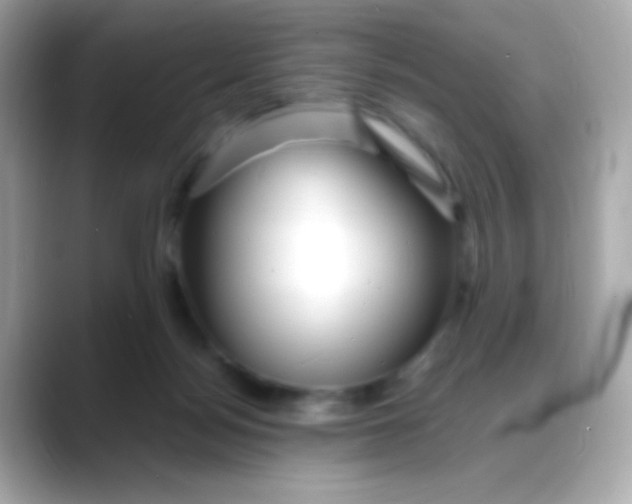 X0000088130172200706041956