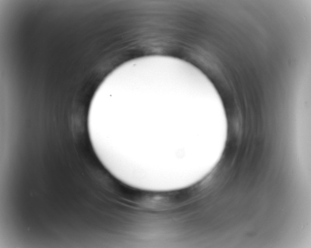 X0000088130174200706041956