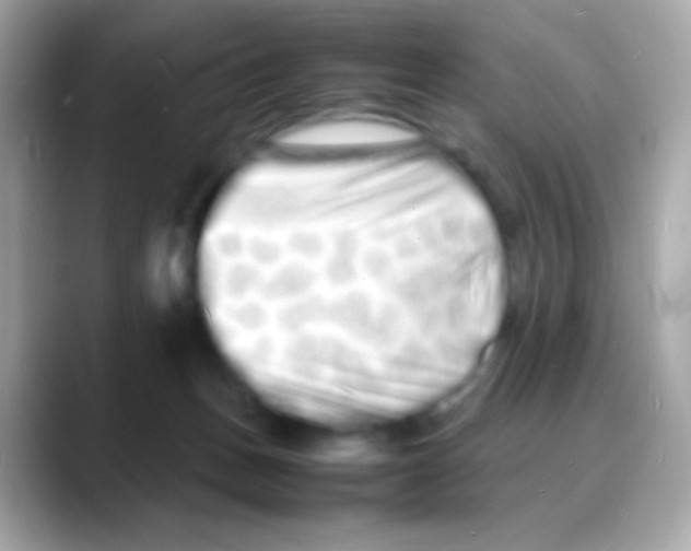 X0000088130175200706041956