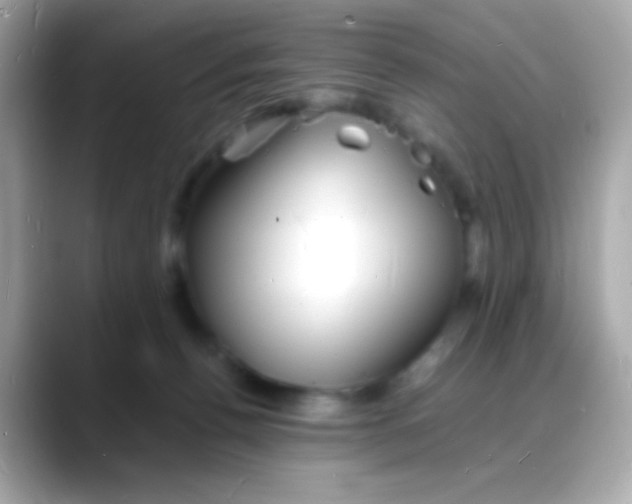 X0000088130176200706041956