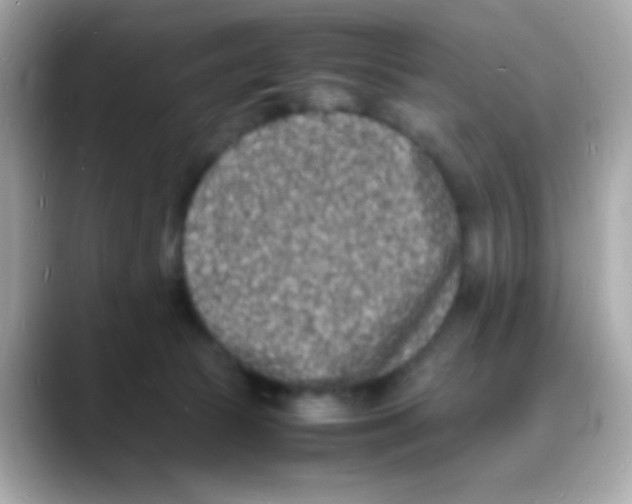 X0000088130177200706041956