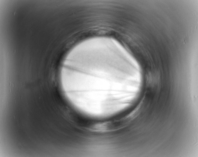 X0000088130178200706041956