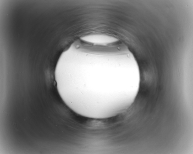 X0000088130180200706041956