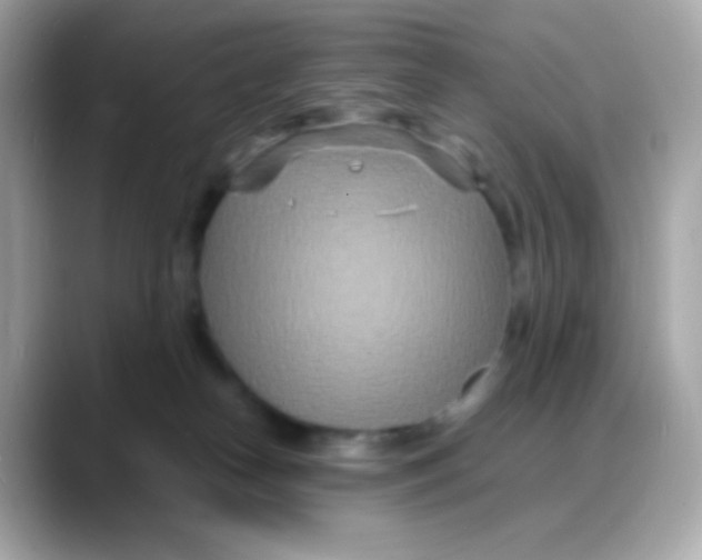 X0000088130182200706041956