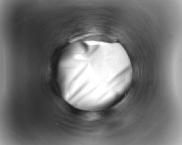 X0000088130183200706041956