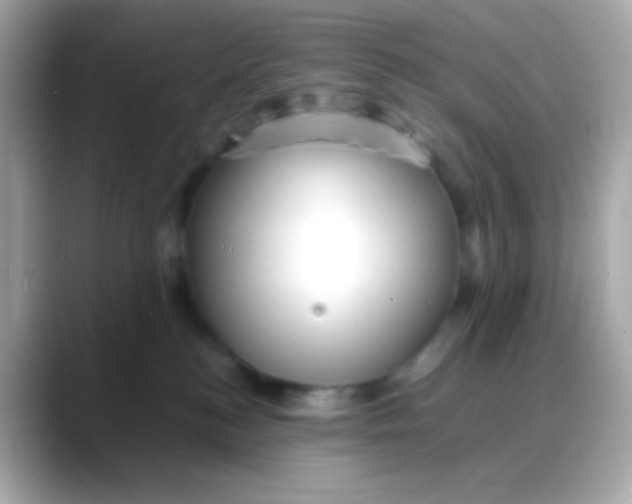 X0000088130184200706041956