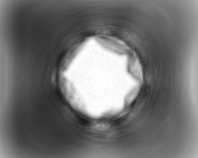 X0000088130185200706041956