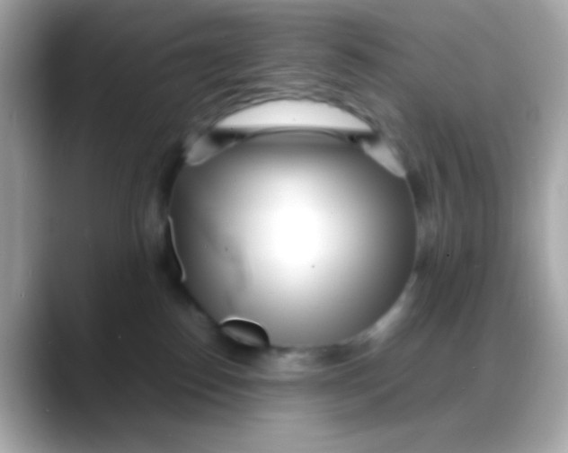 X0000088130186200706041956