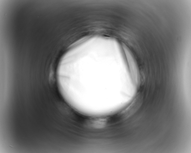 X0000088130187200706041956