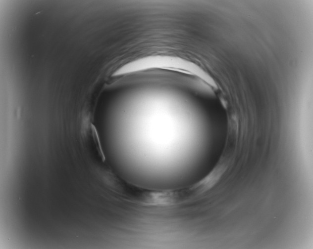 X0000088130188200706041956