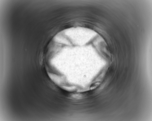 X0000088130189200706041956