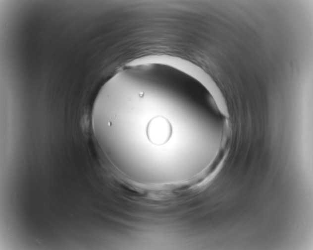 X0000088130190200706041956