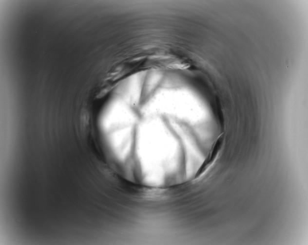 X0000088130192200706041956