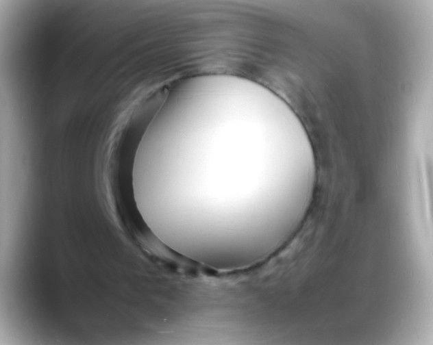 X0000088130193200706041955