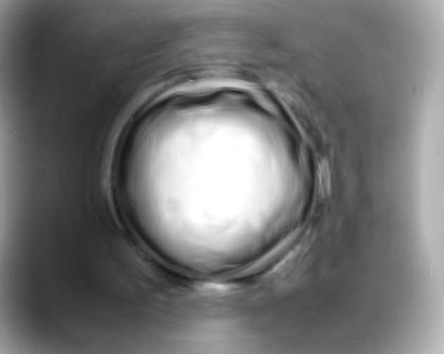 X0000088130195200706041955