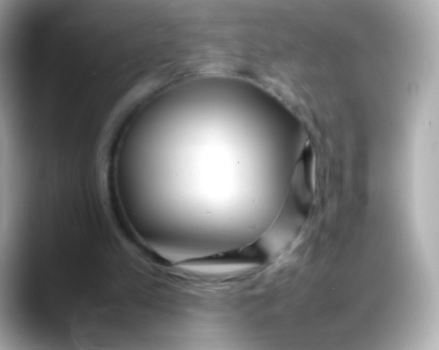 X0000088130197200706041955