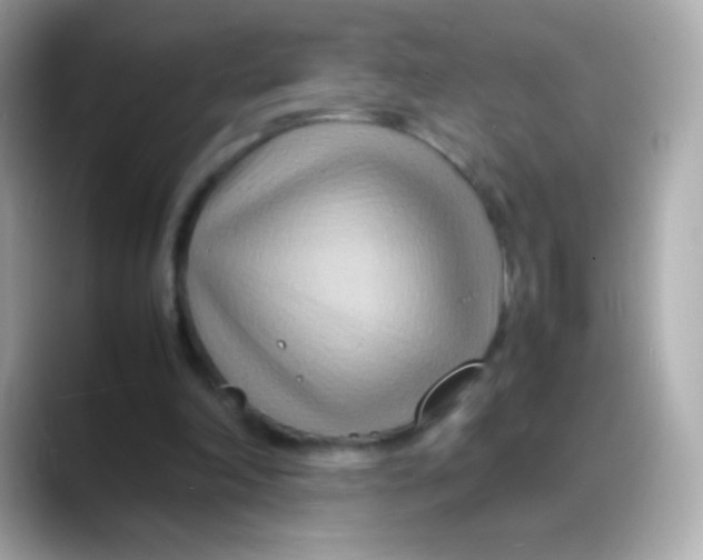 X0000088130198200706041955